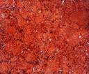 IT-M-012 Red Fossil Marble Tile